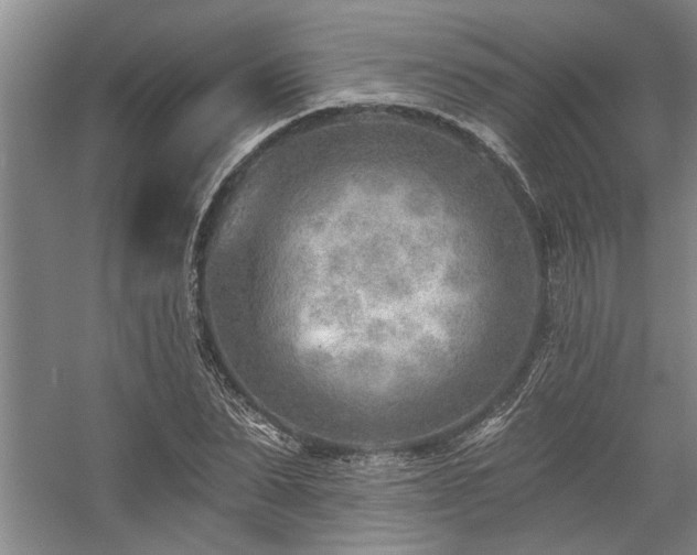 X0000059060879200510071039