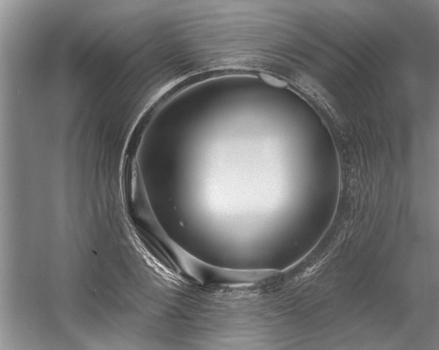 X0000059060884200510071039