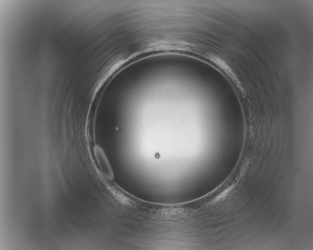 X0000059060893200510071039