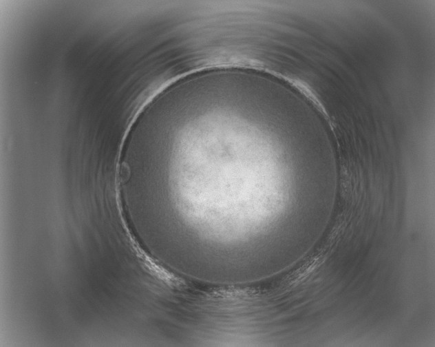 X0000059060895200510071039