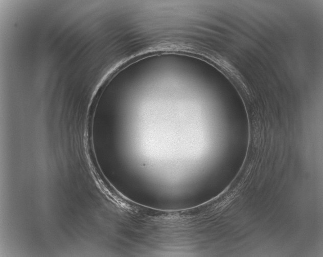 X0000059060896200510071039