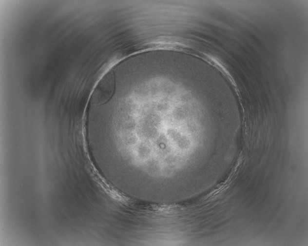 X0000059060899200510071039