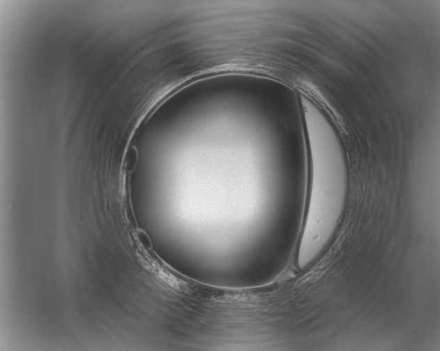 X0000059060900200510071039