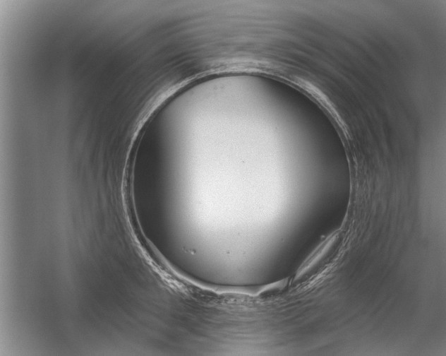 X0000059060901200510071039