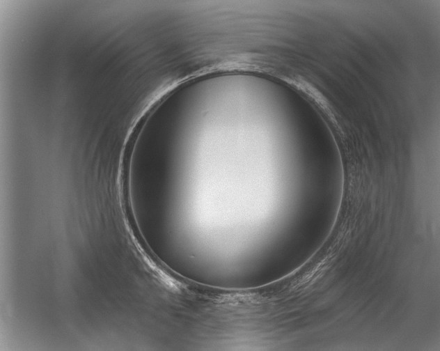 X0000059060902200510071039