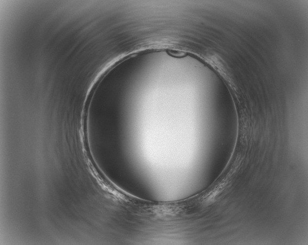 X0000059060904200510071039