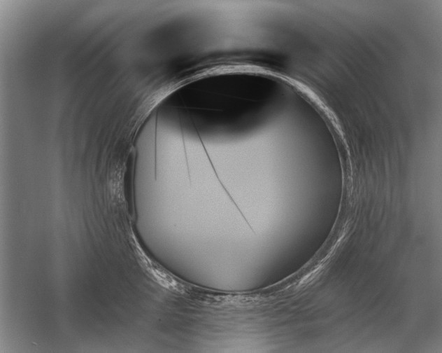 X0000059060905200510071039