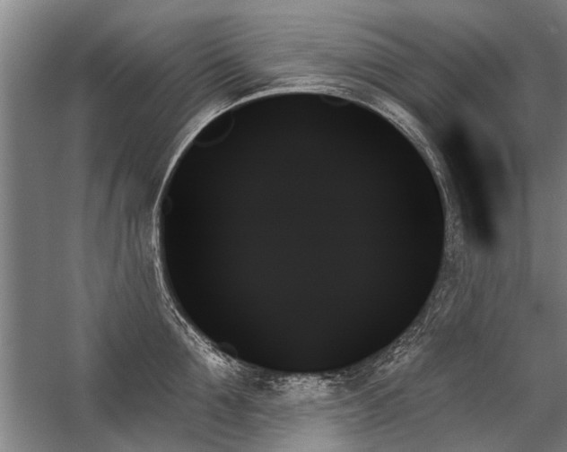 X0000059060907200510071039