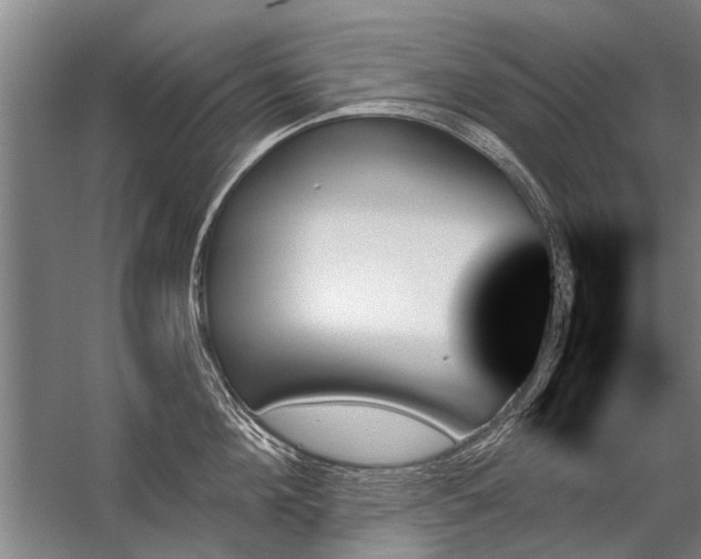 X0000059060908200510071039