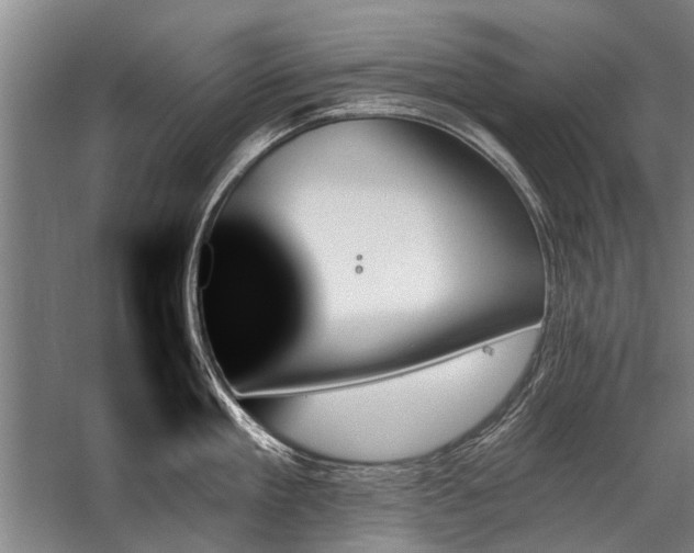 X0000059060909200510071039