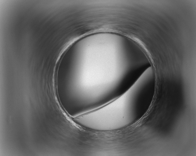 X0000059060910200510071039