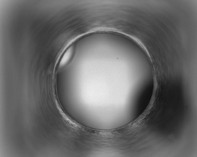 X0000059060911200510071039