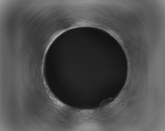 X0000059060912200510071039