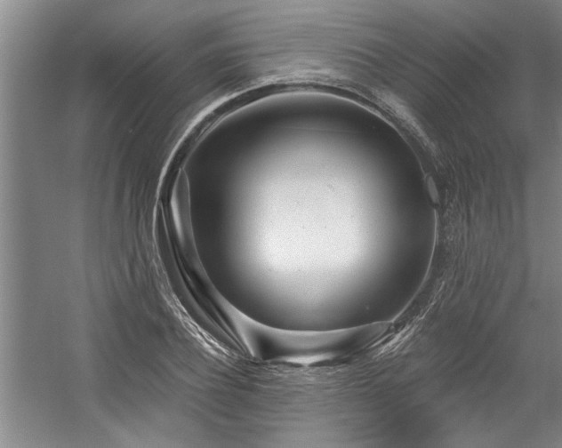 X0000059060932200510071038