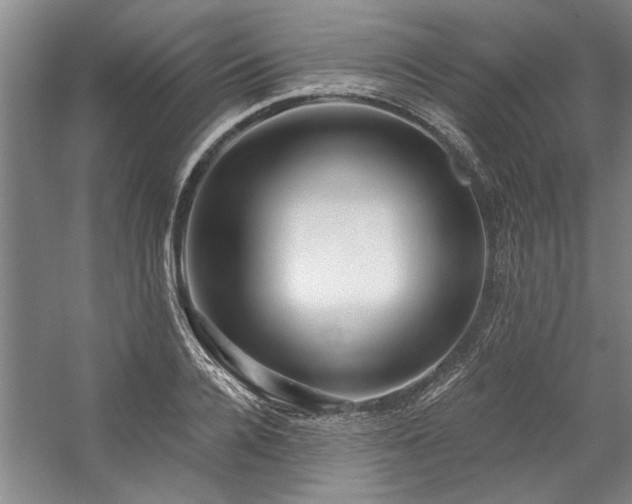 X0000059060936200510071038