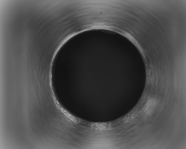 X0000059060955200510071038