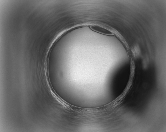 X0000059060958200510071038