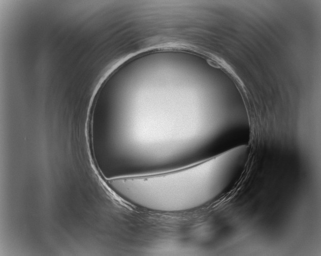 X0000059060959200510071038