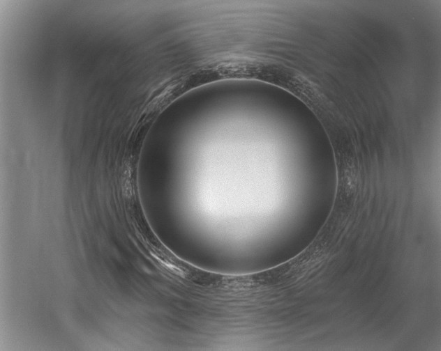 X0000059060964200510071038