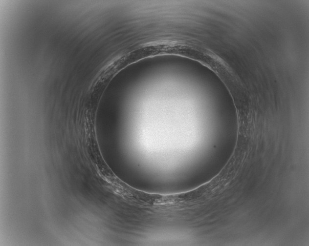 X0000059060967200510071038