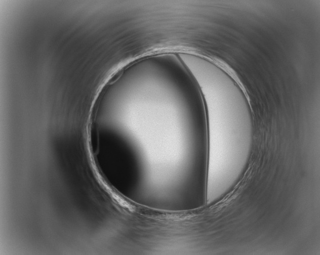 X0000059061005200510071037