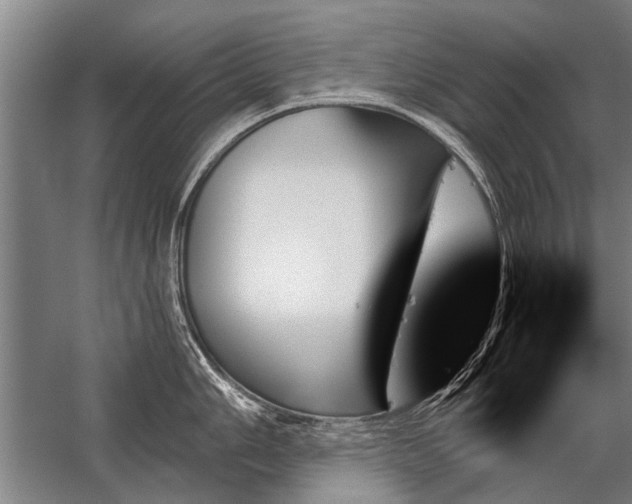 X0000059061006200510071037
