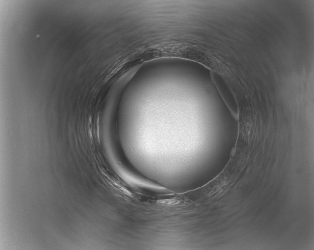 X0000059061010200510071036