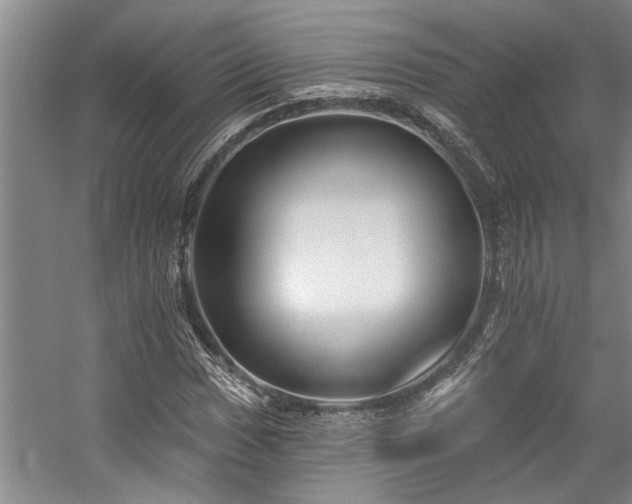 X0000059061017200510071036