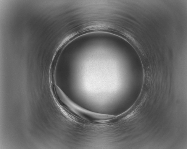 X0000059061034200510071036