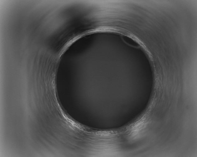 X0000059061049200510071037