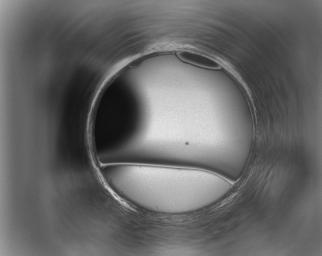 X0000059061053200510071037