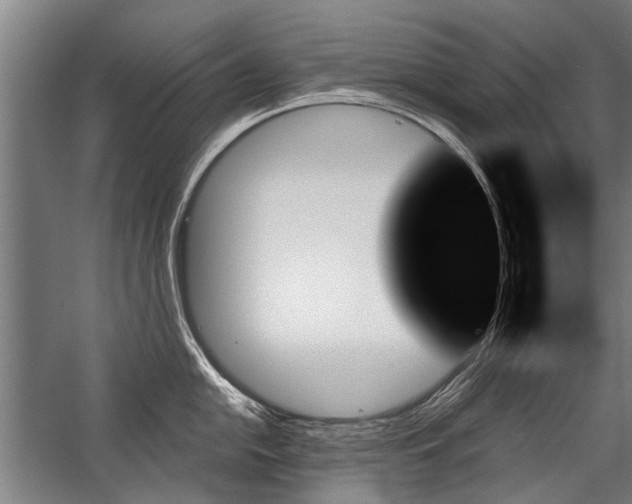 X0000059061054200510071037