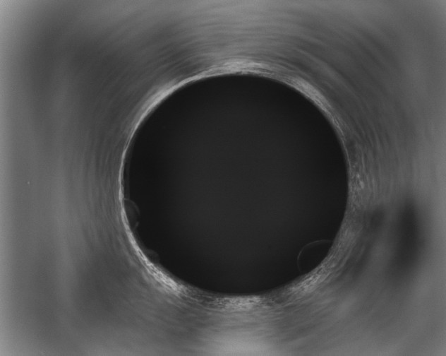 X0000059061055200510071037