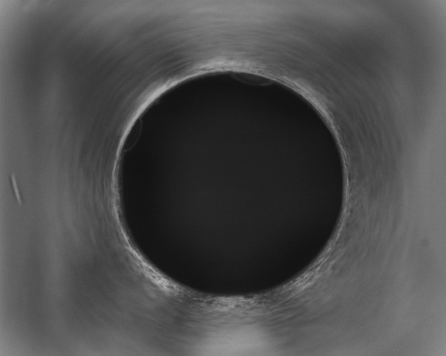 X0000059061056200510071037