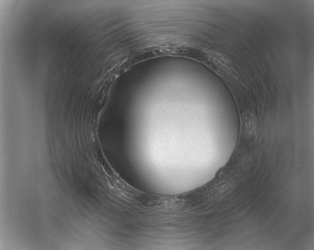 X0000059061060200510071036