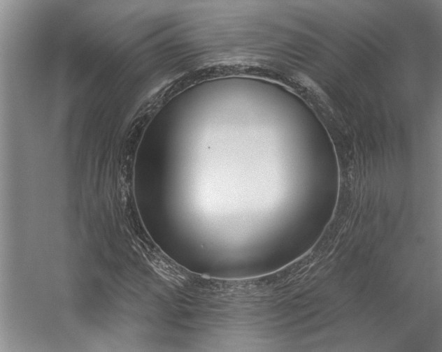 X0000059061064200510071036