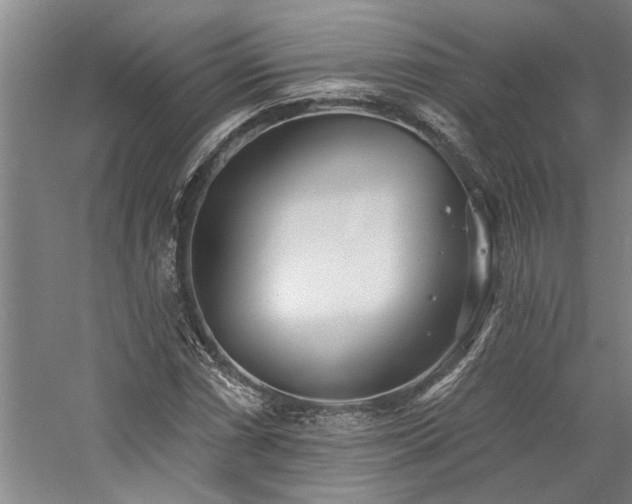 X0000059061066200510071036