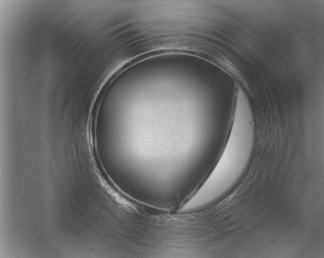X0000059061084200510071036