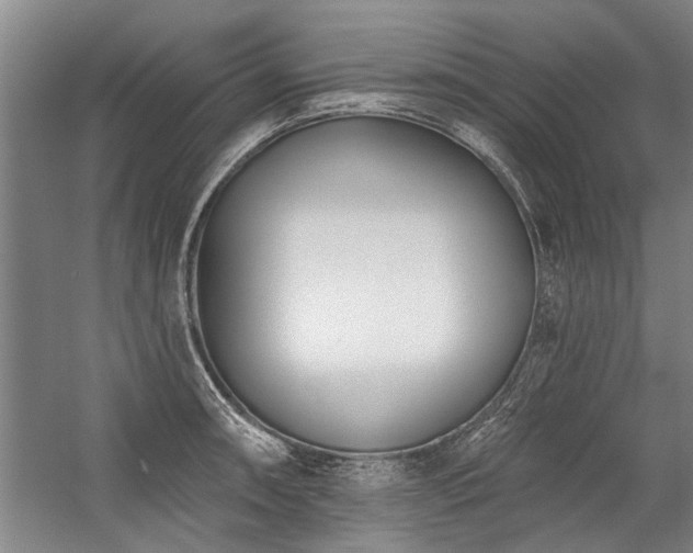 X0000059061090200510071035