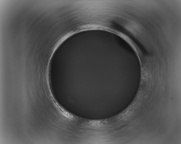 X0000059061098200510071035