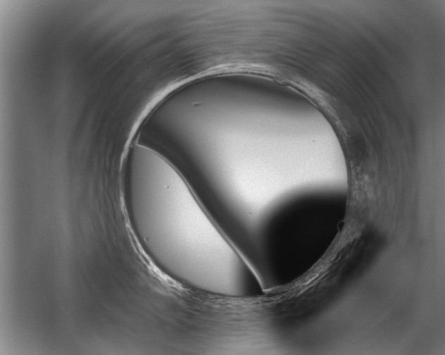 X0000059061102200510071035