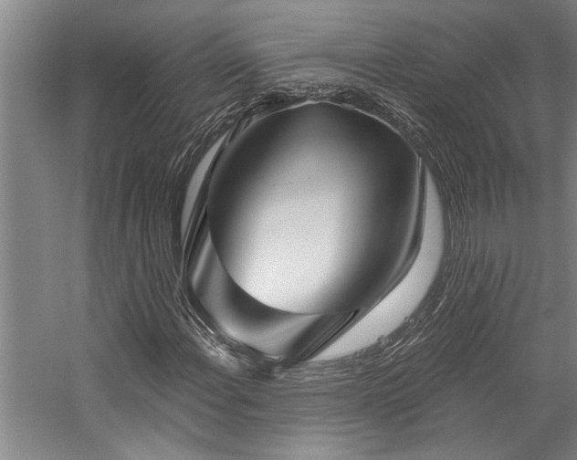 X0000059061108200510071034