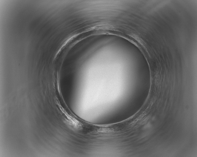X0000059061115200510071035