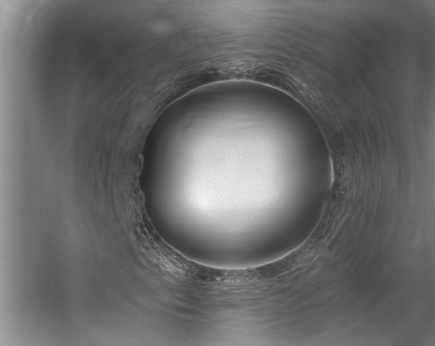 X0000059061153200510071034