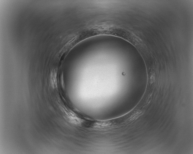 X0000059061156200510071034