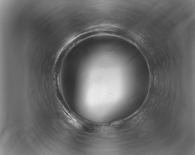X0000059061164200510071034