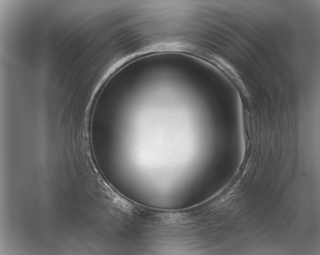 X0000059061192200510071034