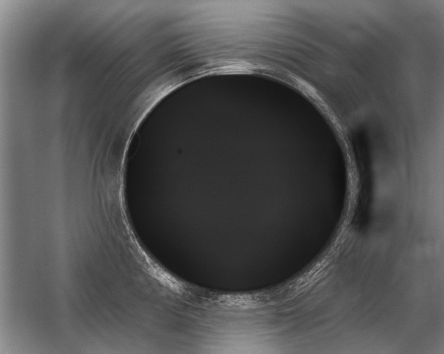 X0000059061194200510071034
