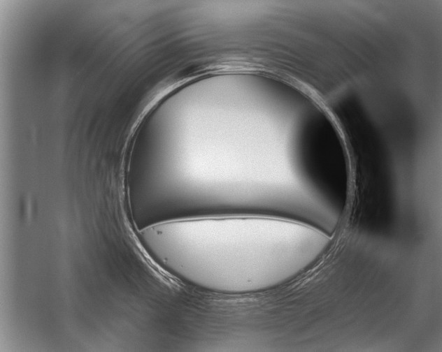 X0000059061195200510071034