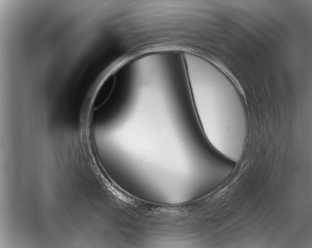 X0000059061197200510071034